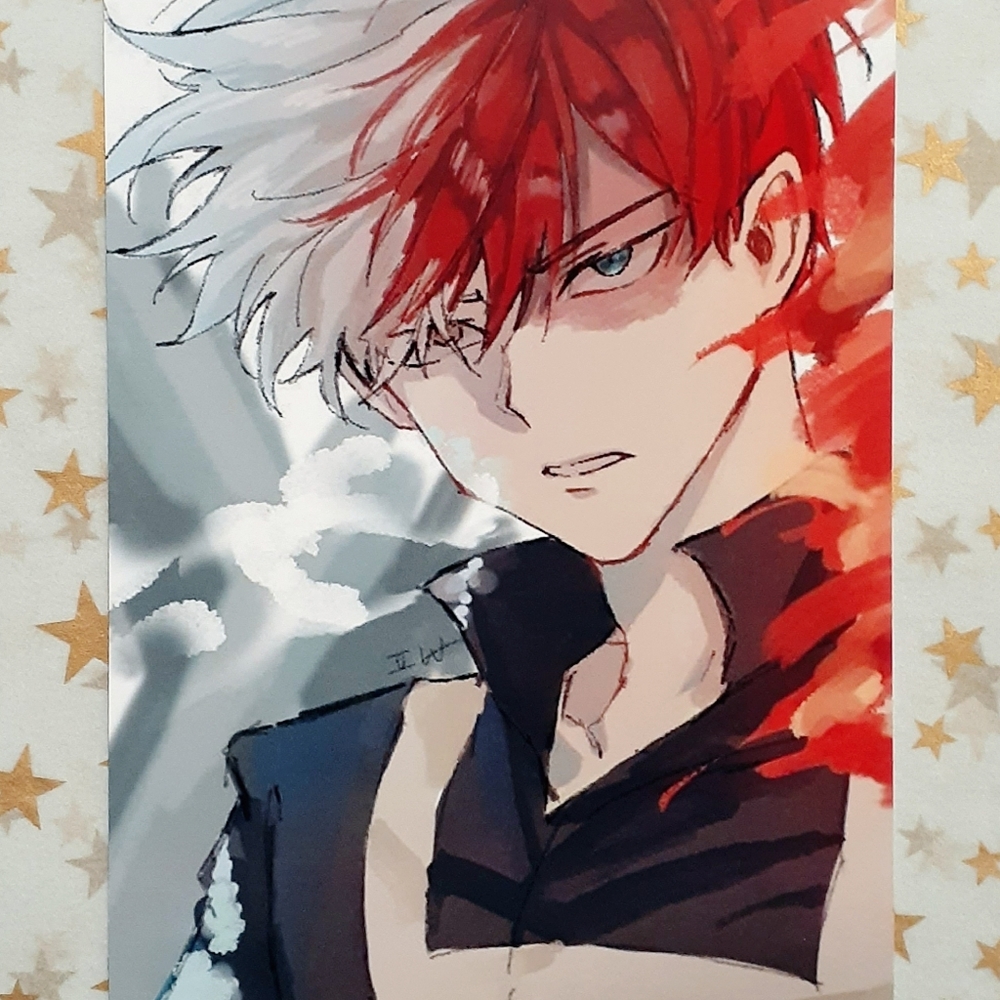 My Hero Academia: Todoroki Photo #1
